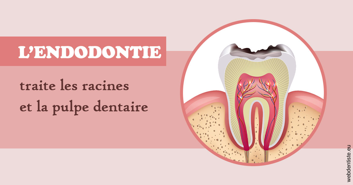 https://dr-jacques-schouver.chirurgiens-dentistes.fr/L'endodontie 2