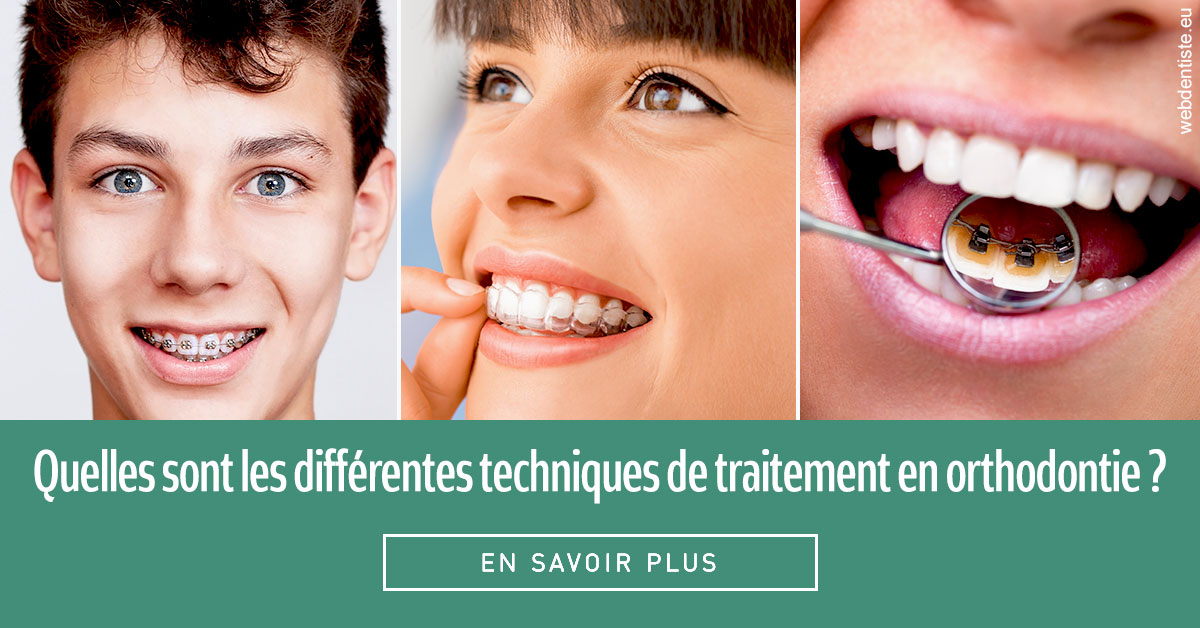 https://dr-jacques-schouver.chirurgiens-dentistes.fr/Les différentes techniques de traitement 2