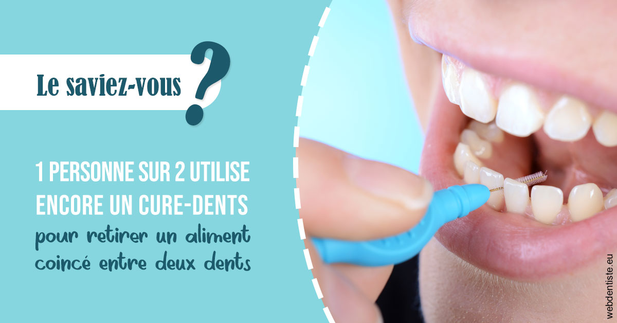 https://dr-jacques-schouver.chirurgiens-dentistes.fr/Cure-dents 1