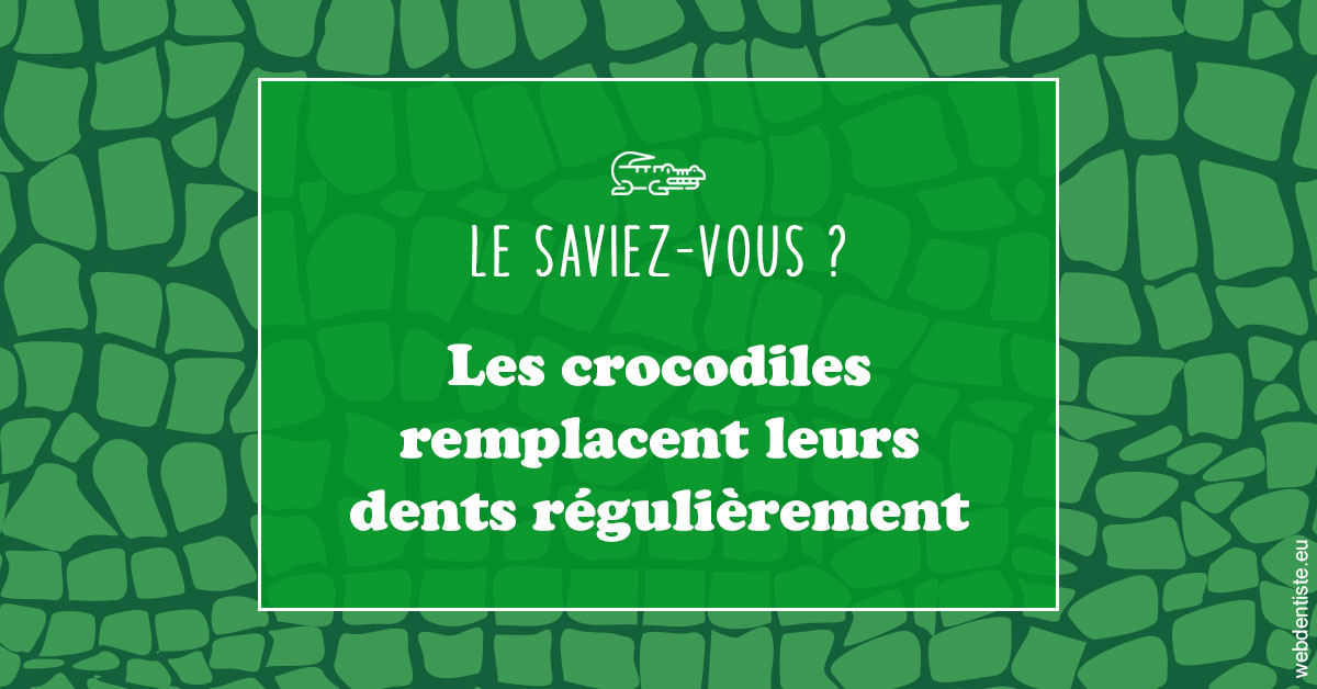 https://dr-jacques-schouver.chirurgiens-dentistes.fr/Crocodiles 1